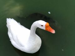 -祝家花園(伯渎港店)