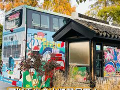 -金山农民画村-枫泾波兰倒置屋