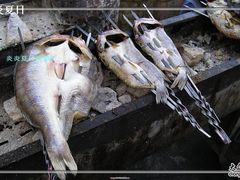 我们点的九道黑和狗鱼-布尔津河堤夜市