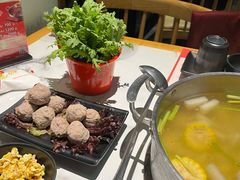 -今日炊牛·潮汕牛肉火锅(华采天地店)