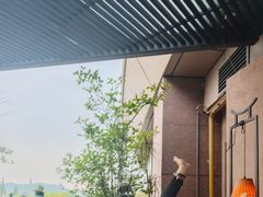 -青藤茶馆(凤起路店)