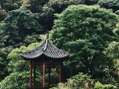 -云溪植物园