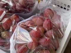 -马陆小张葡萄园农家乐