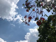 -玉树公园