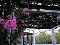 -丰台花园