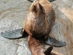-郑州海洋馆