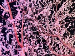 -华熙生物·润百颜ECM中心