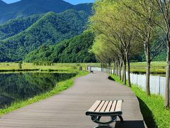 -大九湖