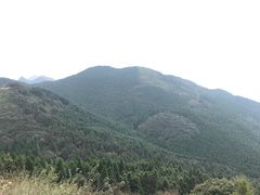 -武陵山森林公园