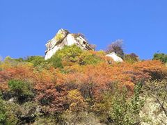 -黑河国家森林公园