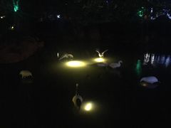 -河源客天下-温泉小镇