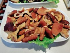 -爱膳菌锅锅(阳南店)