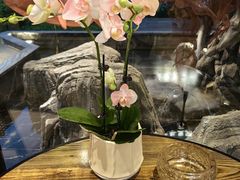 -院里寻菜·精致庭院菜(观沙岭店)