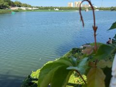 -大兴滨河森林公园