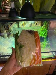 -酷嗒动物文化乐园(cutezoo西溪乐天城店)