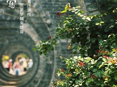-庾园