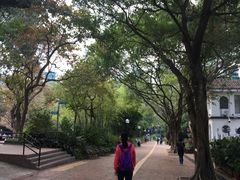 -九龙公园