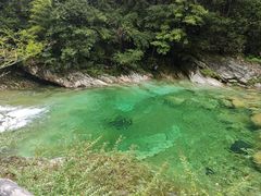 -黄山翡翠谷景区