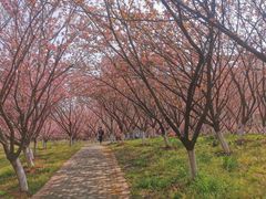 -南京医科大学(江宁校区)