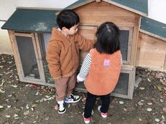 -蒙蒙狮蒙台梭利儿童之家