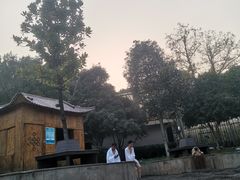 -三江森林温泉度假区