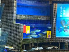 -北海渔村酒楼·粤菜海鲜点心(新华店)