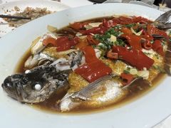 -丹江渔村(望京店)