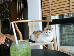 -黑胶星球(华发中城商都店)