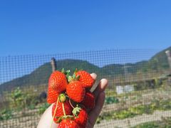 -和顺古镇