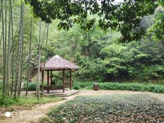 -黄公望隐居地