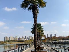 -白塘生态植物园