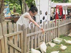 -HERRE·FARM 赫尔露营农场·团建聚会包场