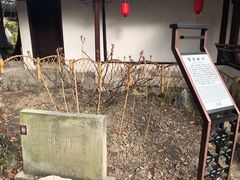 -上海醉白池公园