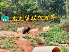 -长兴太湖图影湿地文化园