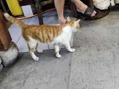 -永和鱼丸(南后街店)