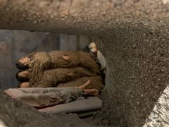 -沈阳“九·一八”历史博物馆