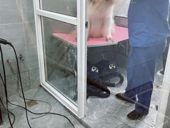 -宠福鑫康馨动物医院·骨科·眼科