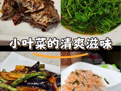 -阿莉餐厅(枣阳路店)