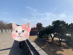 -北陵公园