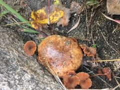 -碓臼峪自然风景区