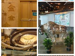 -华西龙希国际大酒店旅游观光景区