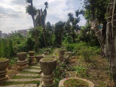 -园林美食城·本土农家菜(杨和镇店)