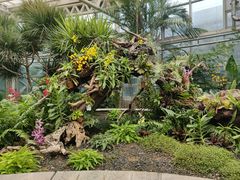 -石家庄市植物园