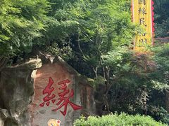 -杭州黄龙洞