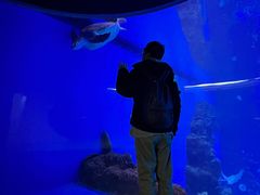 -成都浩海立方海洋公园