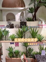 -好看加白色房子