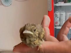 -趣玩宠物乐园寄养训犬训狗游泳池