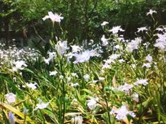 -镇江市南山风景名胜区竹林景区