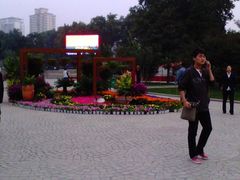 景点-紫荆山公园