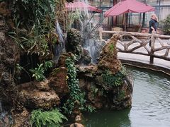 -三圣花乡旅游区
